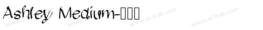 Ashley Medium字体转换